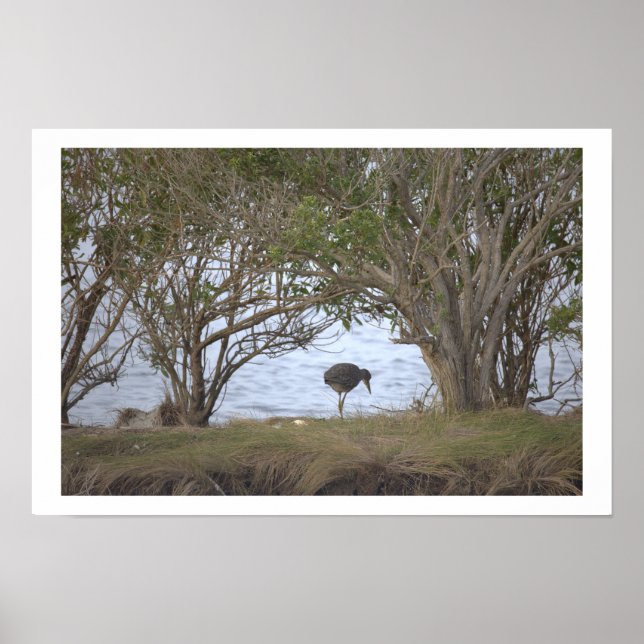 Bird at the Refuge Poster (Front)