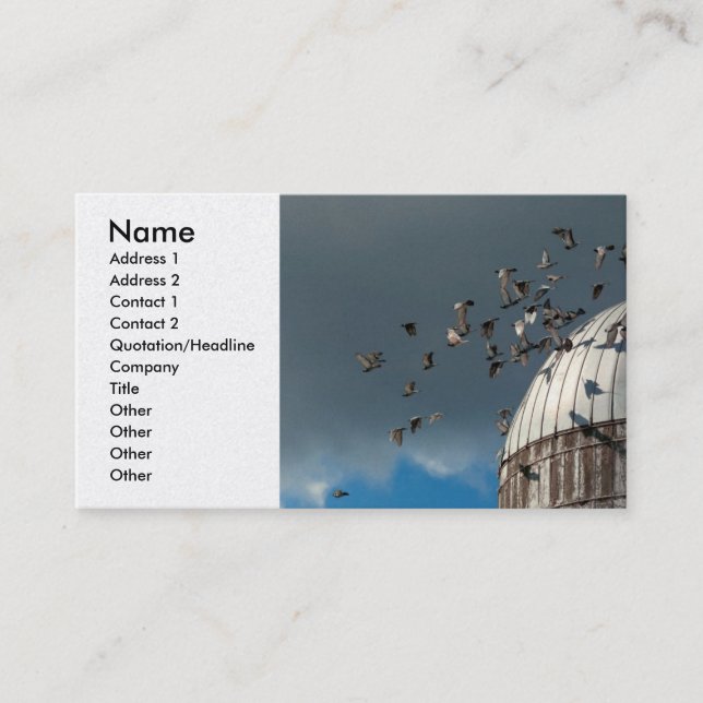 Bird - BIRDS Business Card (Front)