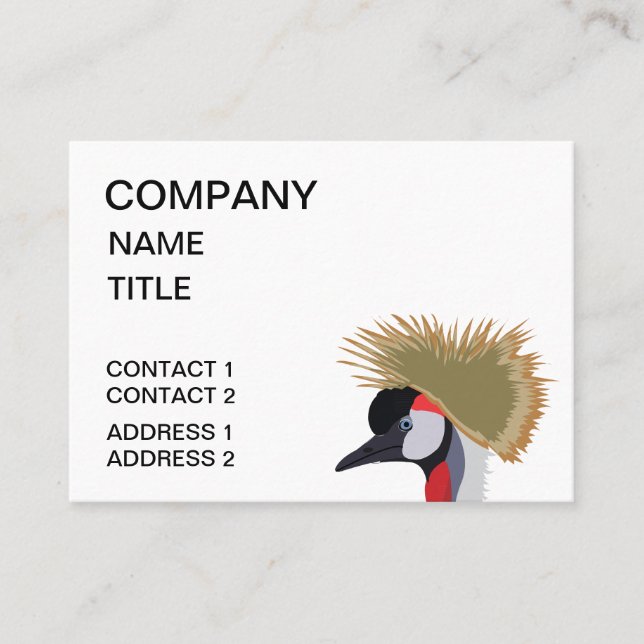 Bird Black Crowned Crane Bird  Business Card (Front)