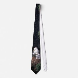 Bird / Black-legged Kittiwakes on Tie