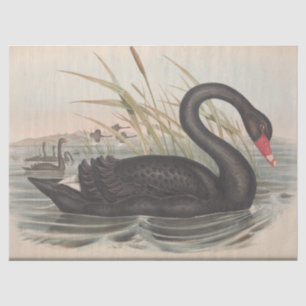 Bird Black Swan Ephemera Decoupage Tissue Paper