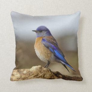 Bird, Bluebird, 2-sided, Cushion