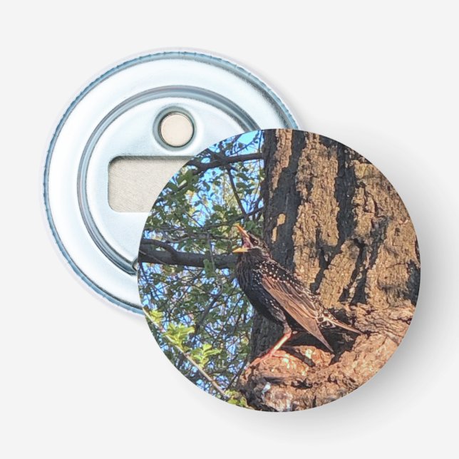 Bird Bottle Opener (Front)