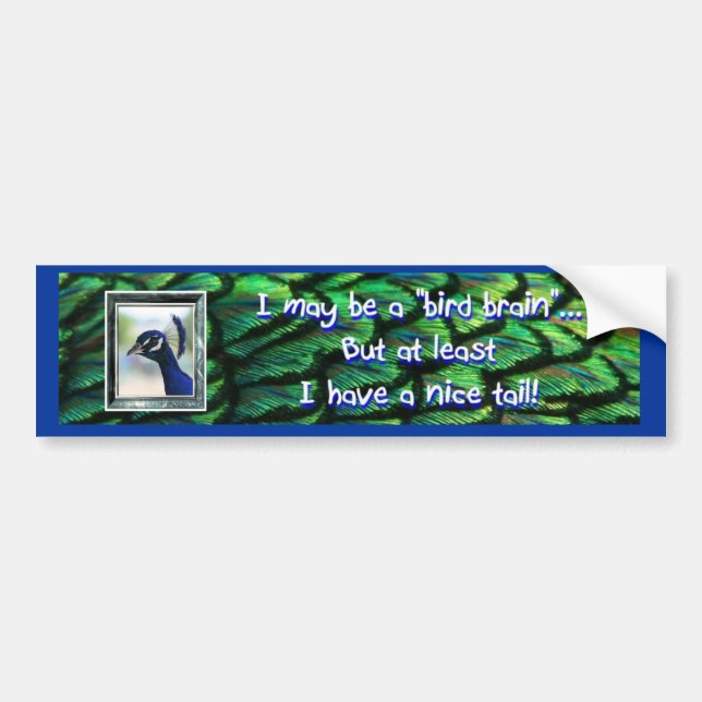 Bird Brain Bumper Sticker, Peacock framed head Bumper Sticker (Front)