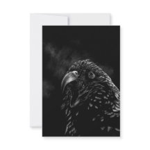 Bird Brain