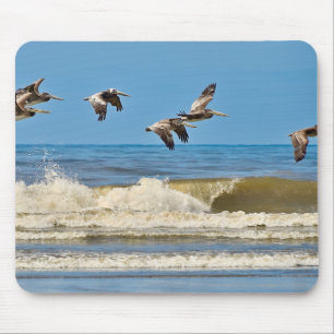 Bird, brown pelican, wildlife mouse pad