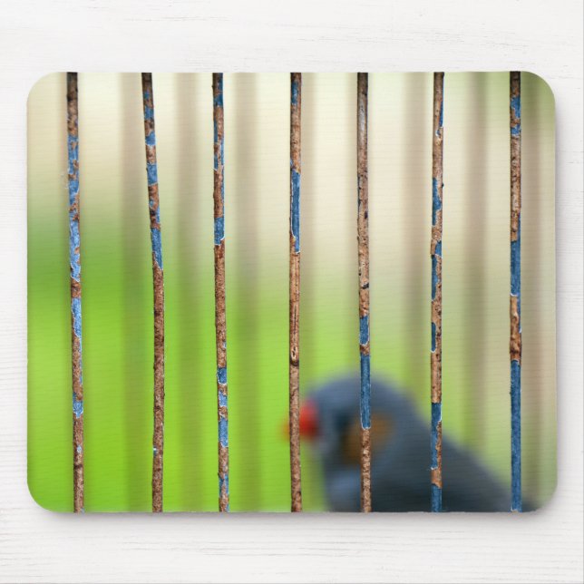 Bird, Cage, bars Mouse Pad (Front)