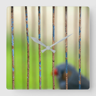 Bird, Cage, bars Square Wall Clock