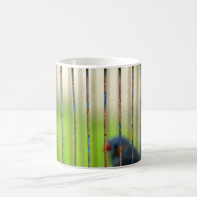 Bird, Cage Coffee Mug (Center)