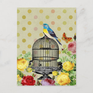 Bird Cage flower Vintage Postcard