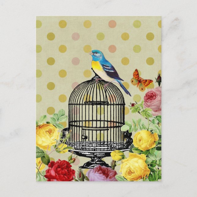 Bird Cage flower Vintage Postcard (Front)