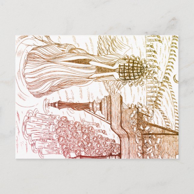 Bird Cage Rose Post Card (Front)