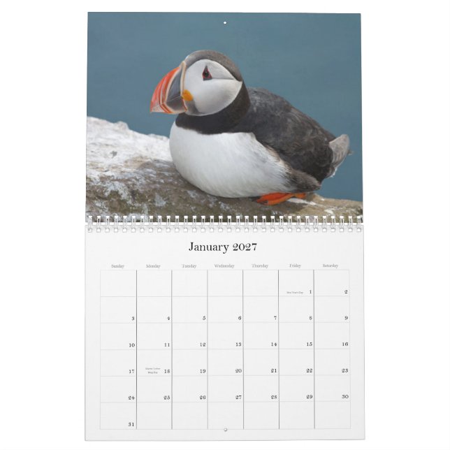 Bird Calaender 2013-2014 Calendar (Jan 2027)