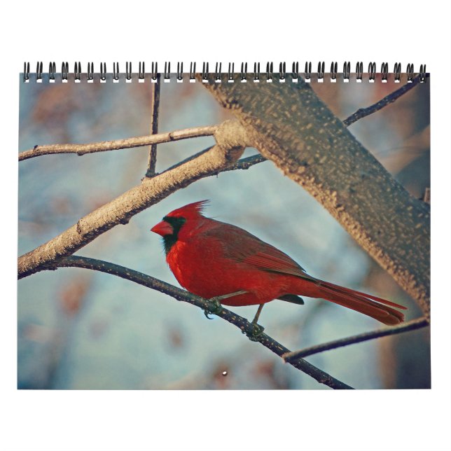 Bird Calendar (Cover)