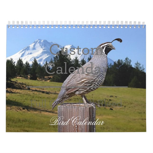 BIRD CALENDAR (Cover)