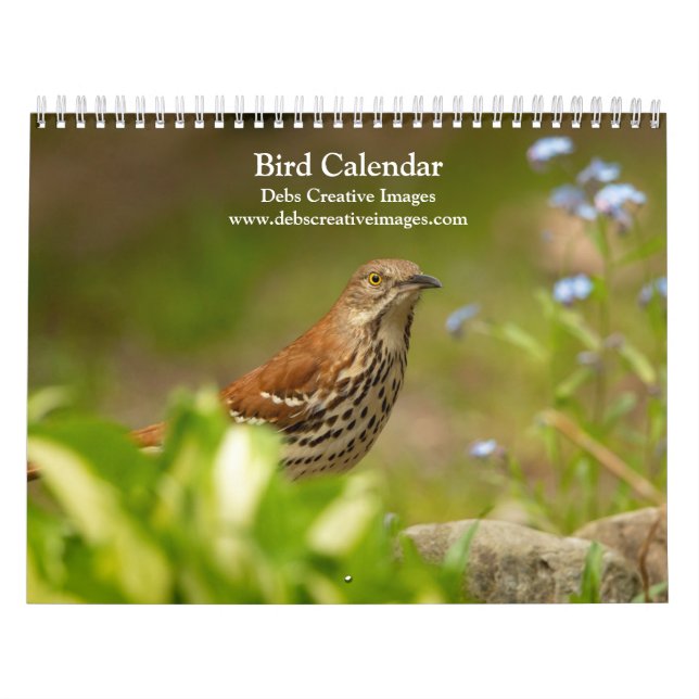 Bird Calendar 2026 (Cover)
