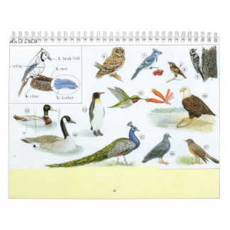 Bird Calender 1 Calendar