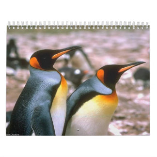 Bird Calender 6 Calendar