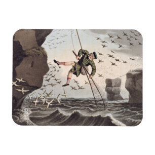 Bird Catching from Above, engraved by Matthew Dubo Magnet