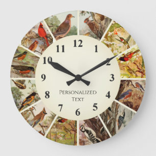 Bird Clock - Birds of the United States of America