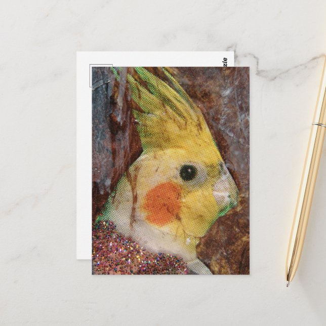 Bird Collage Postcard (Front/Back In Situ)