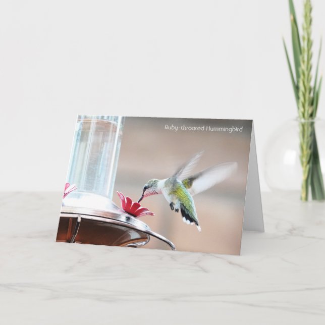 Bird Collection: Hummingbird (blank notes) Card (Front)