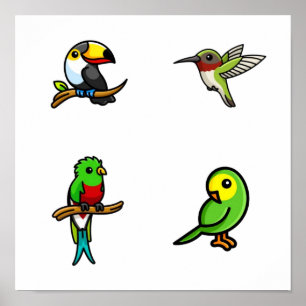 Bird collection poster