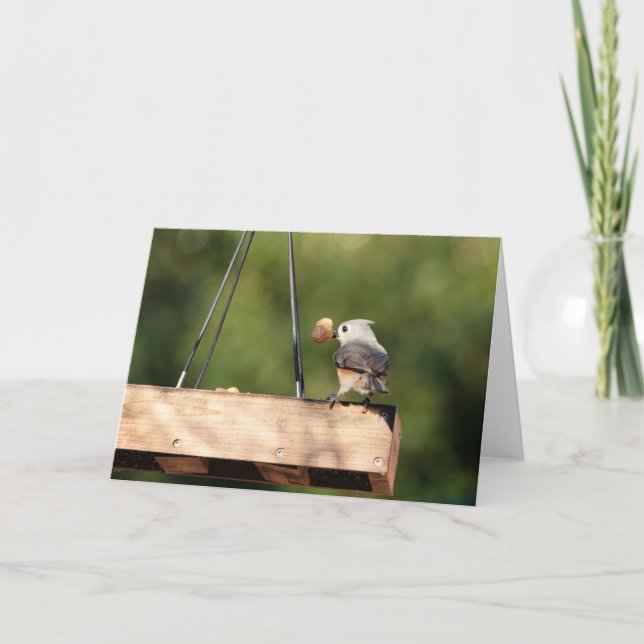 Bird Collection: Tufted Titmouse (blank notes) Card (Front)