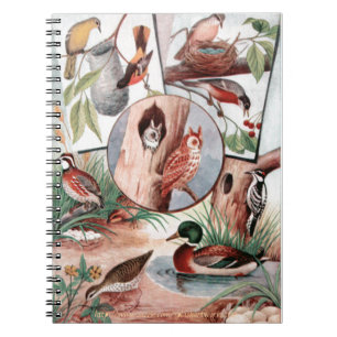 "Bird Combo" Notebook