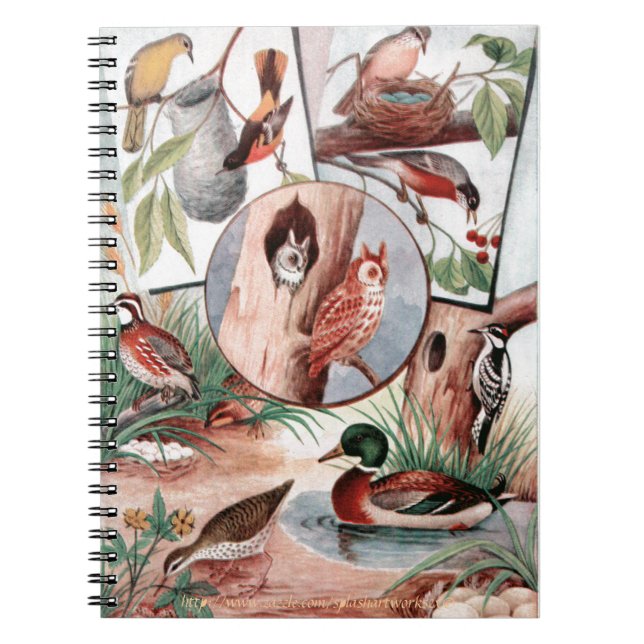 "Bird Combo" Notebook (Front)