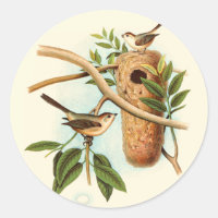 Bird Couple on a Nest Perched on a Branch