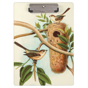Bird Couple on a Nest Perched on a Branch Clipboard