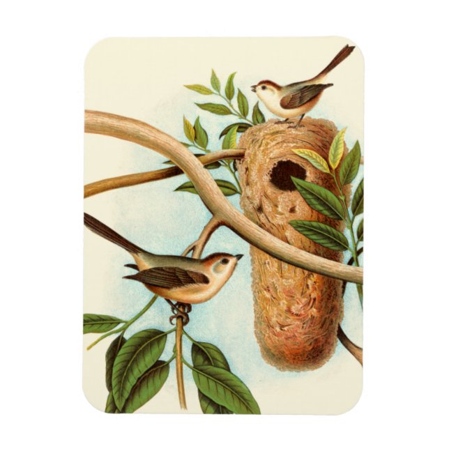 Bird Couple on a Nest Perched on a Branch Magnet (Vertical)