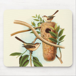 Bird Couple on a Nest Perched on a Branch Mouse Pad