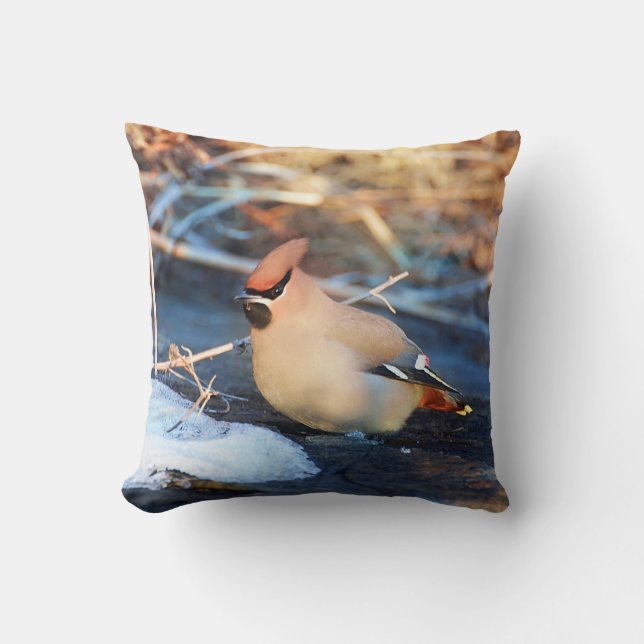 Bird Cushion (Front)