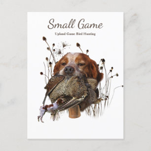 Bird dog , Upland Game Bird Hunting Postcard