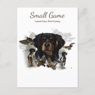 Bird dog , Upland Game Bird Hunting Postcard
