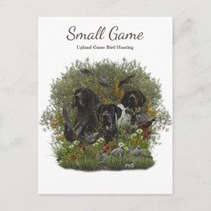 Bird dog , Upland Game Bird Hunting Postcard