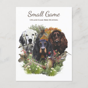 Bird dog , Upland Game Bird Hunting Postcard
