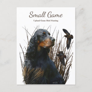Bird dog , Upland Game Bird Hunting Postcard