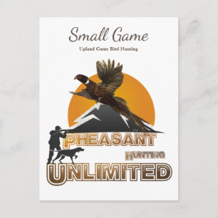 Bird dog , Upland Game Bird Hunting Postcard
