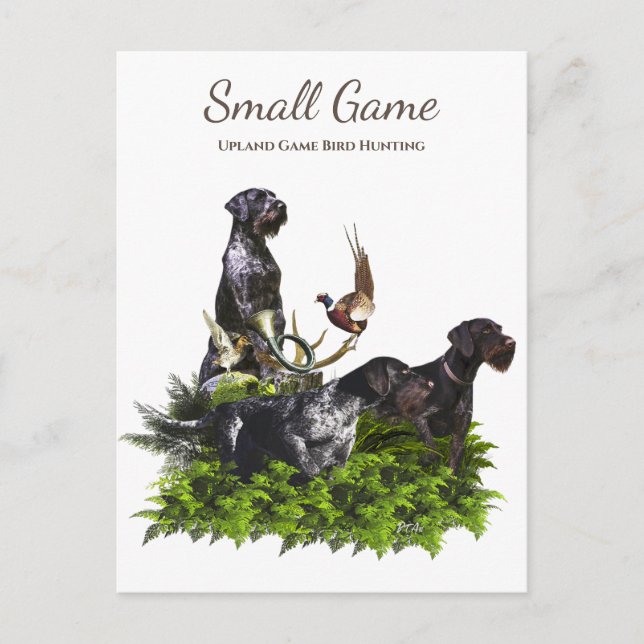 Bird dog , Upland Game Bird Hunting Postcard (Front)