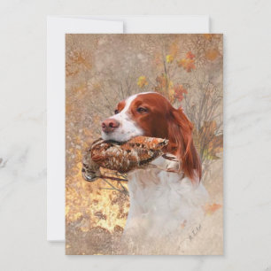 Bird dog , woodcock hunting invitation