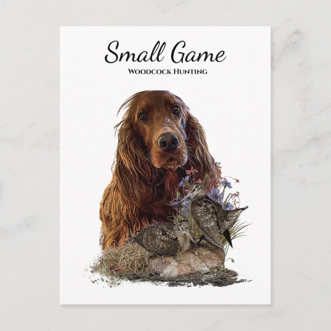 Bird dog , woodcock hunting postcard (Front)