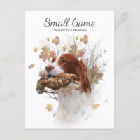 Bird dog , woodcock hunting