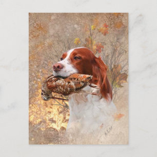 Bird dog , woodcock hunting postcard