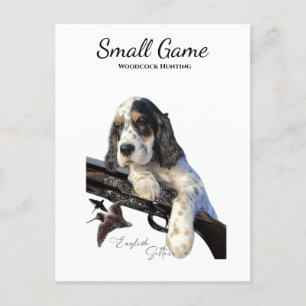 Bird dog , woodcock hunting postcard