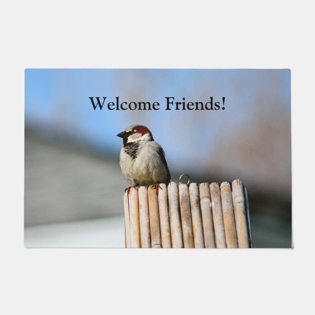 Bird Doormat (Front)