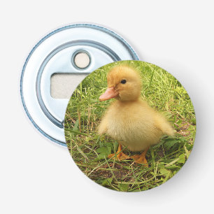 bird, duck, duckling, yellow, nature, cute, baby, bottle opener
