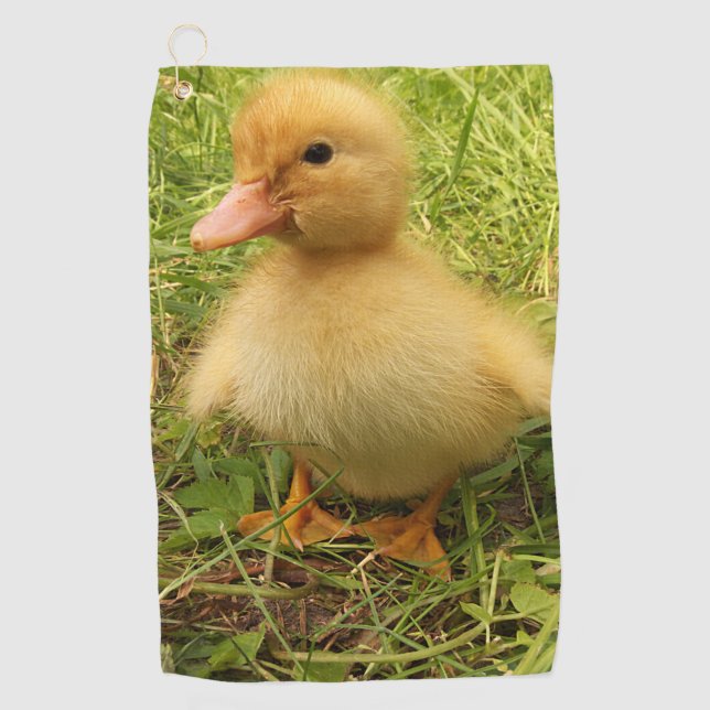 bird, duck, duckling, yellow, nature, cute, baby, golf towel (Front)
